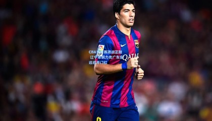 CBA季后赛激战正酣 辽宁本钢力克广东宏远迎开门红